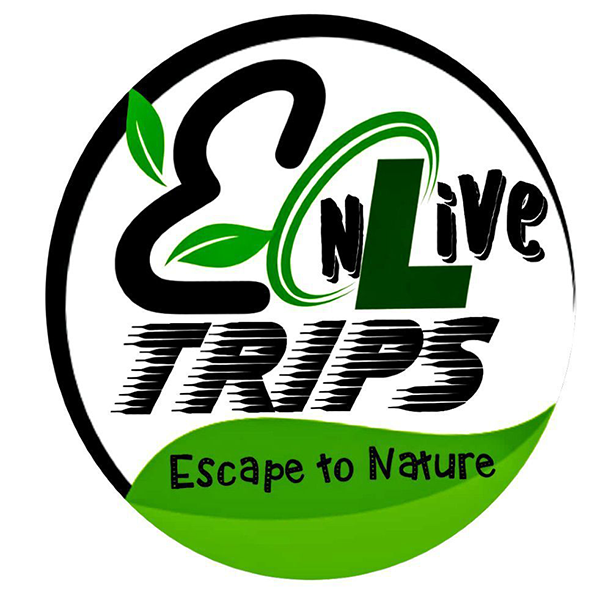 SerenoTrips logo